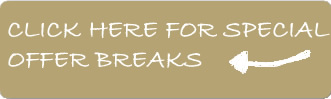 Our Special Offers
