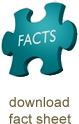 fact sheet