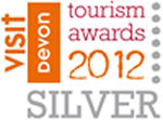 links_visit_silver