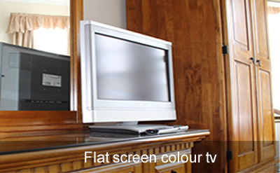 Flat screen TV